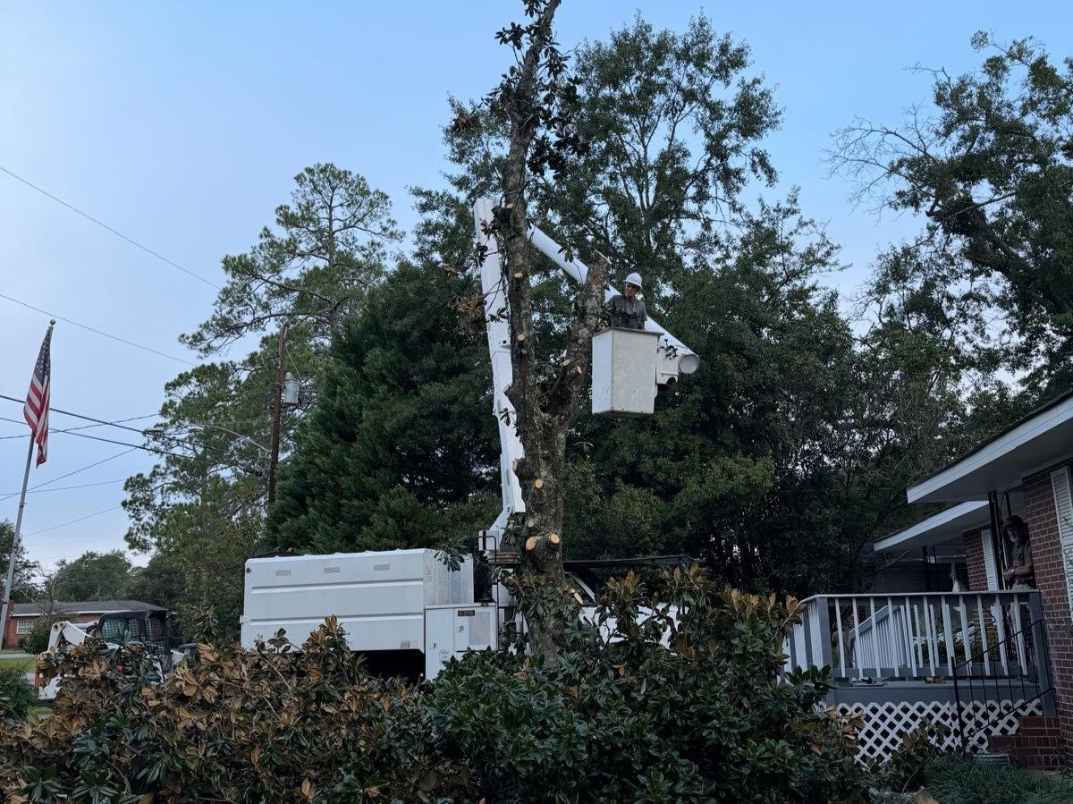 El Costeño Tree Service LLC